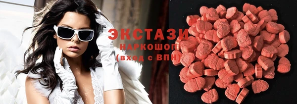 молекула духа Богданович