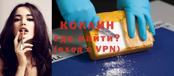 молекула духа Богданович