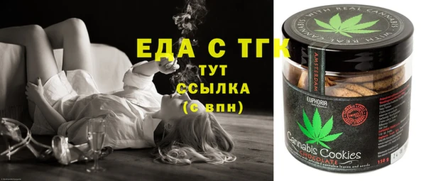 мдпв Богородицк