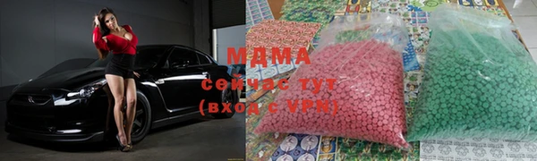 молекула духа Богданович