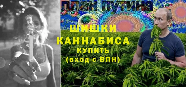 мдпв Богородицк
