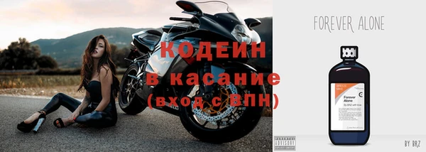 молекула духа Богданович