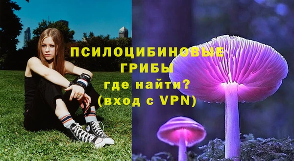 крисы Богородск