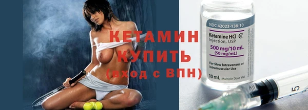 молекула духа Богданович