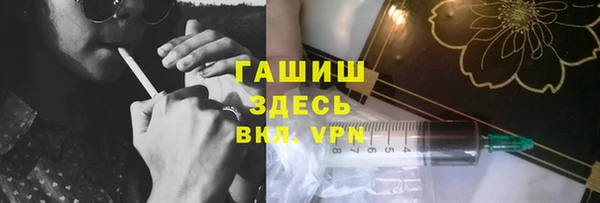 молекула духа Богданович