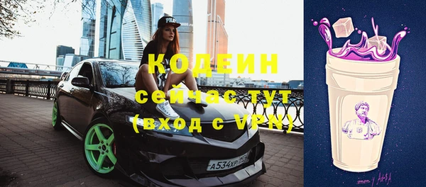 молекула духа Богданович
