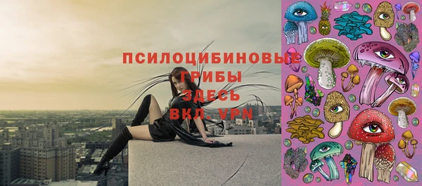 молекула духа Богданович