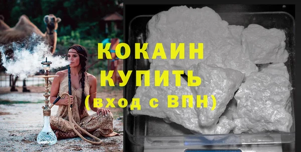 мдпв Богородицк