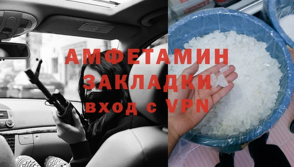 молекула духа Богданович