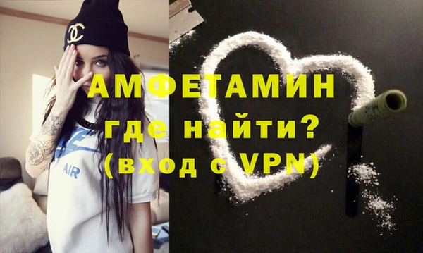 молекула духа Богданович