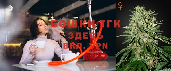 крисы Богородск