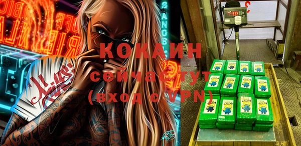 молекула духа Богданович