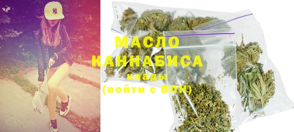молекула духа Богданович