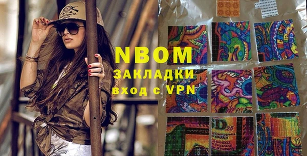 молекула духа Богданович