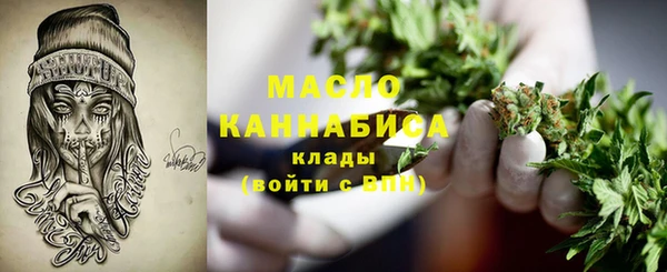 мдпв Богородицк